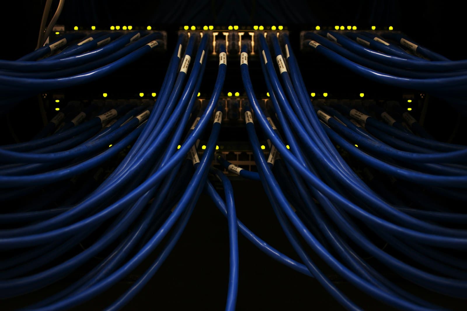Structured network cabling routed and dressed through a patch panel