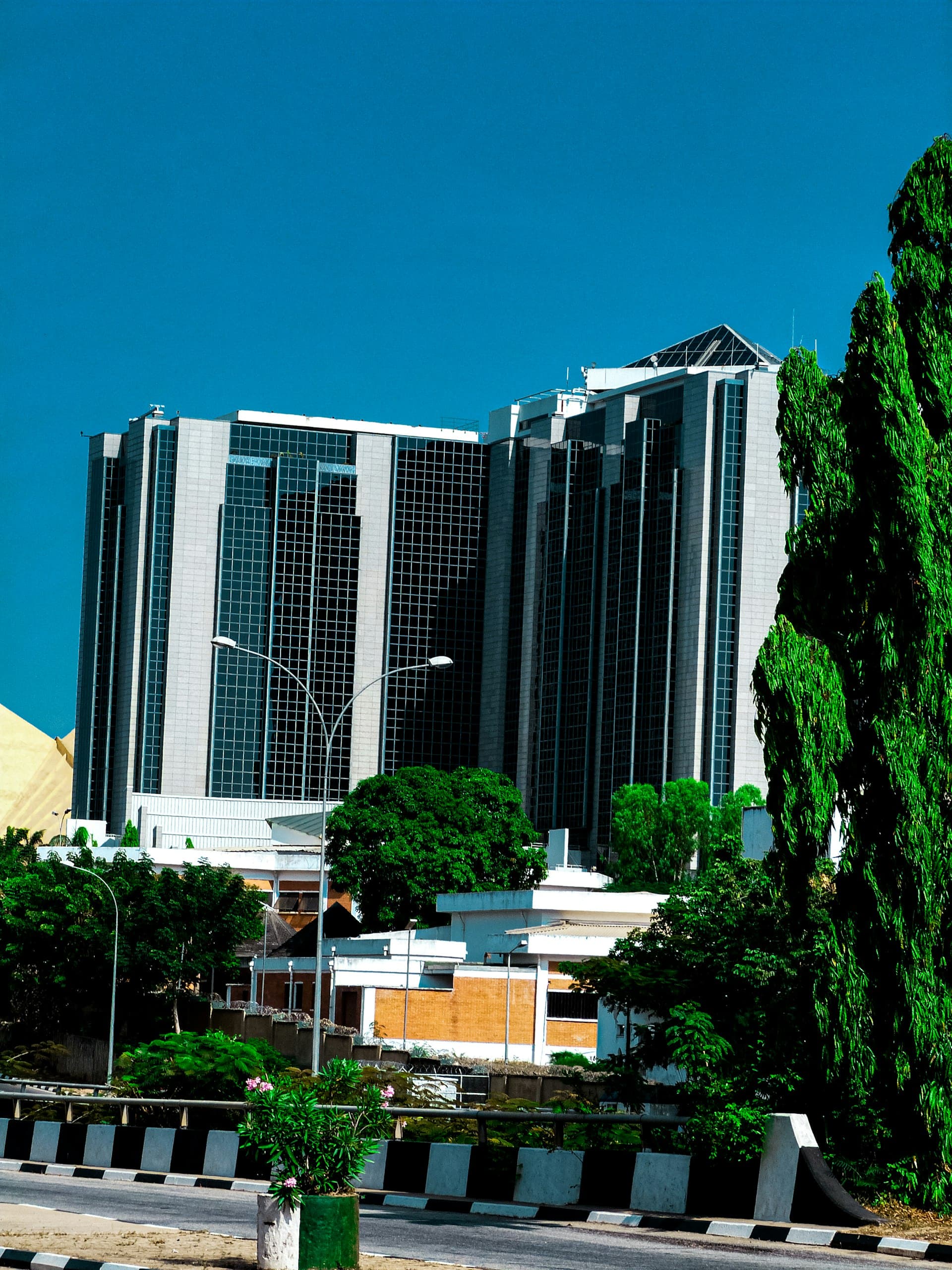 IT solutions for Government — Digitplus Technology