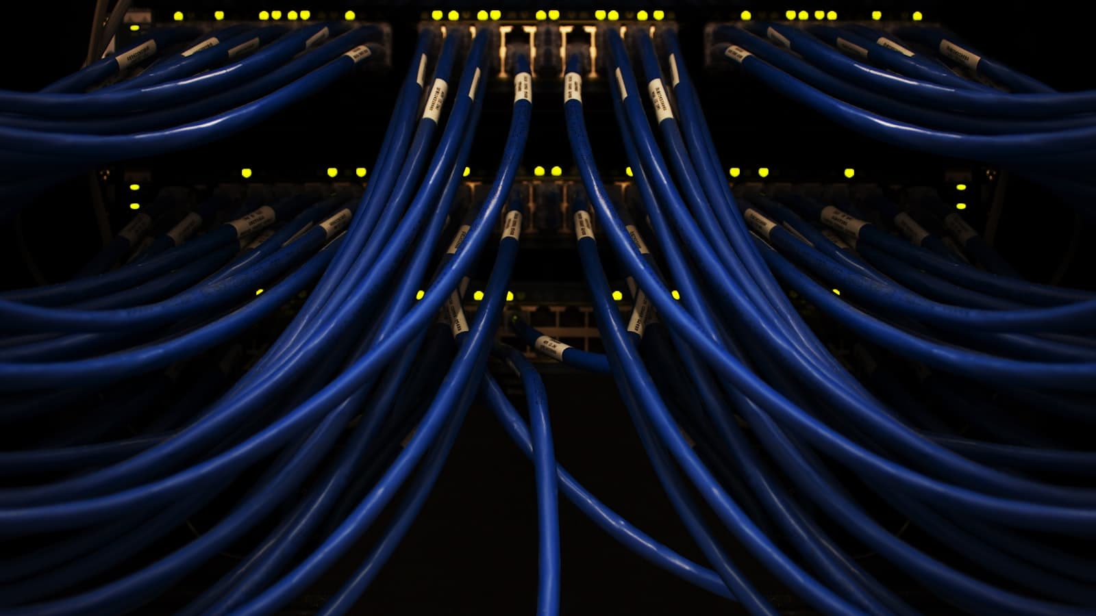 Labelled blue network cables plugged into a switch with glowing yellow port lights