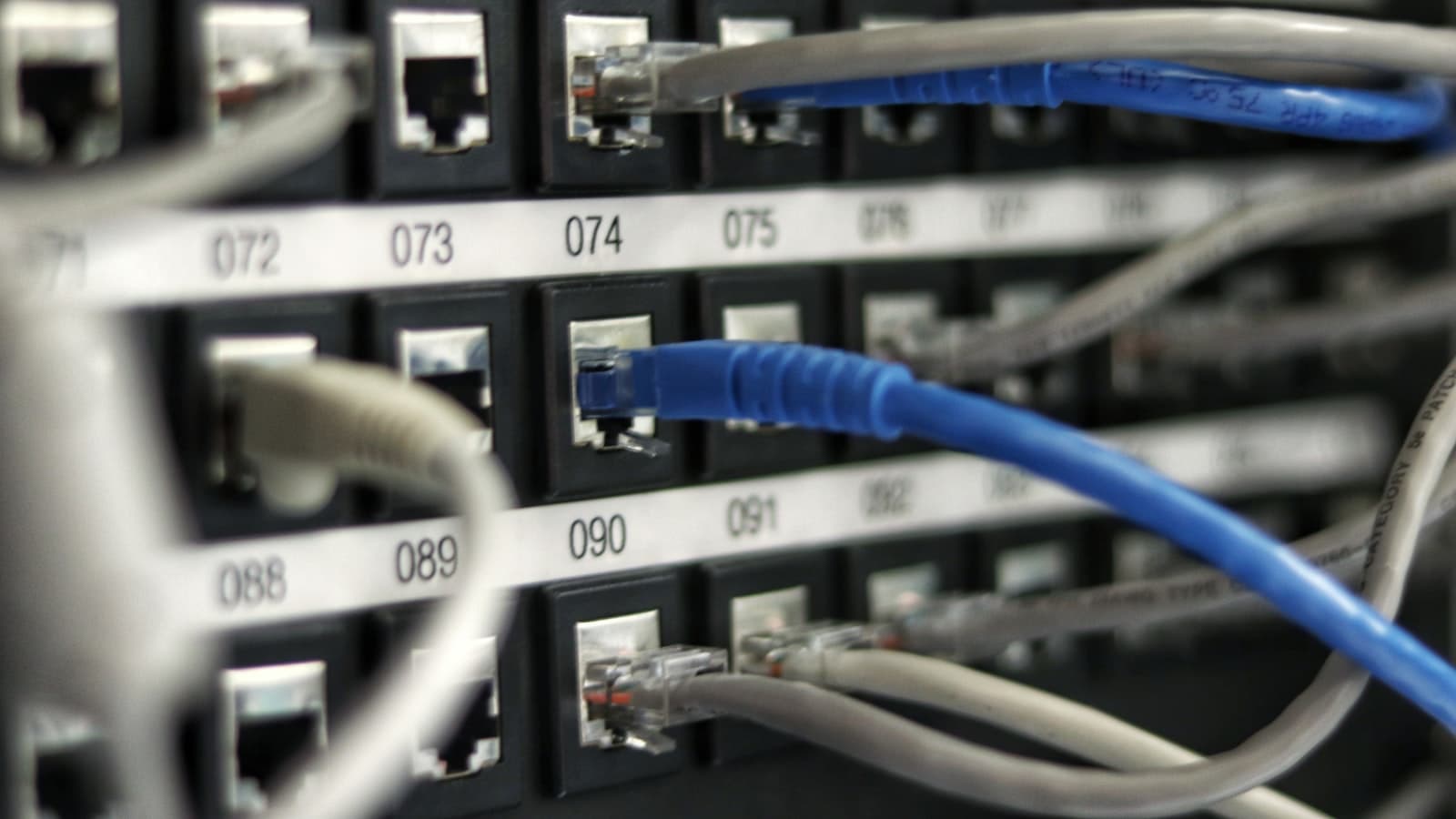 Close-up of a numbered patch panel with blue and grey network cables plugged in