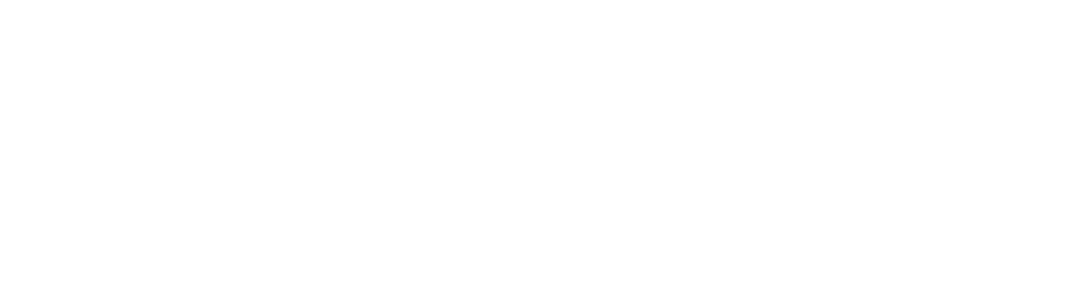 Digitplus Technology